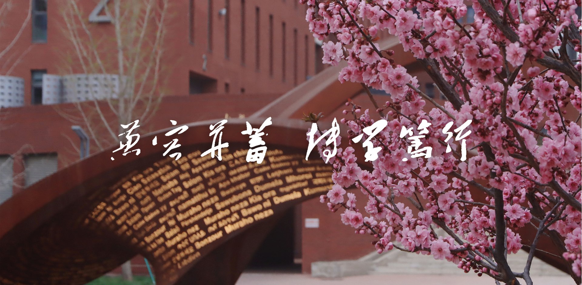 北外加入百利宫线上官网手机版登录关键